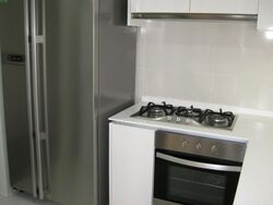 The Lakefront Residences (D22), Condominium #491531951
